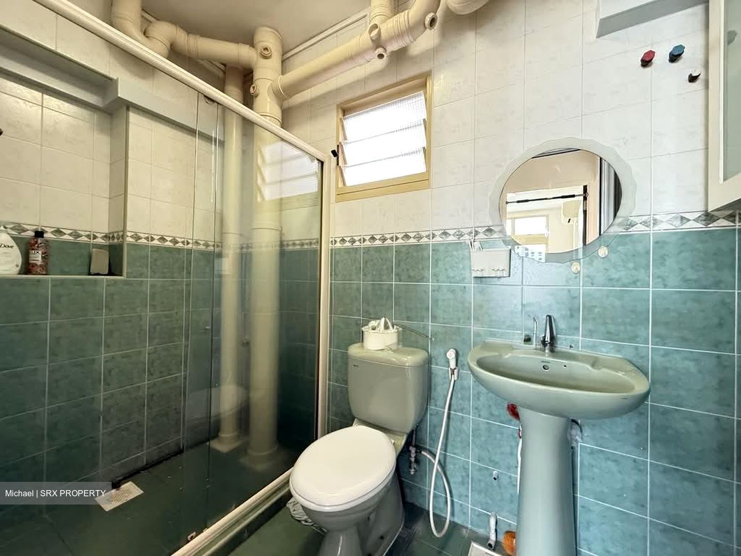 Blk 115 Edgefield Plains (Punggol), HDB Executive #549950231